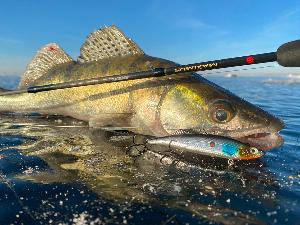 Какую зимнюю катушку выбрать. Подробная инструкция с примерами