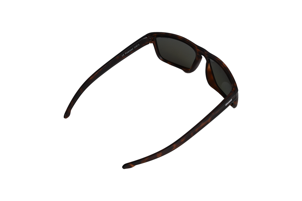 Очки Alaskan Dog Salmon