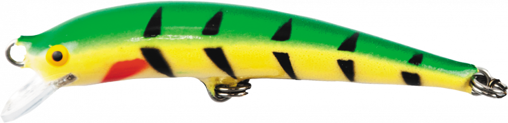 Nils Master Jumbo DD