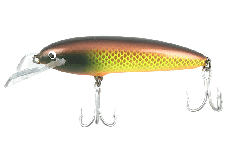 Nils Master Jumbo DD