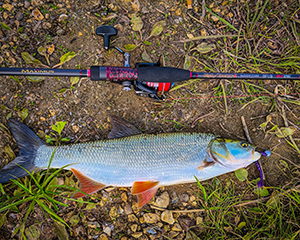 Азы джиговой ловли: с чего начать новичку?