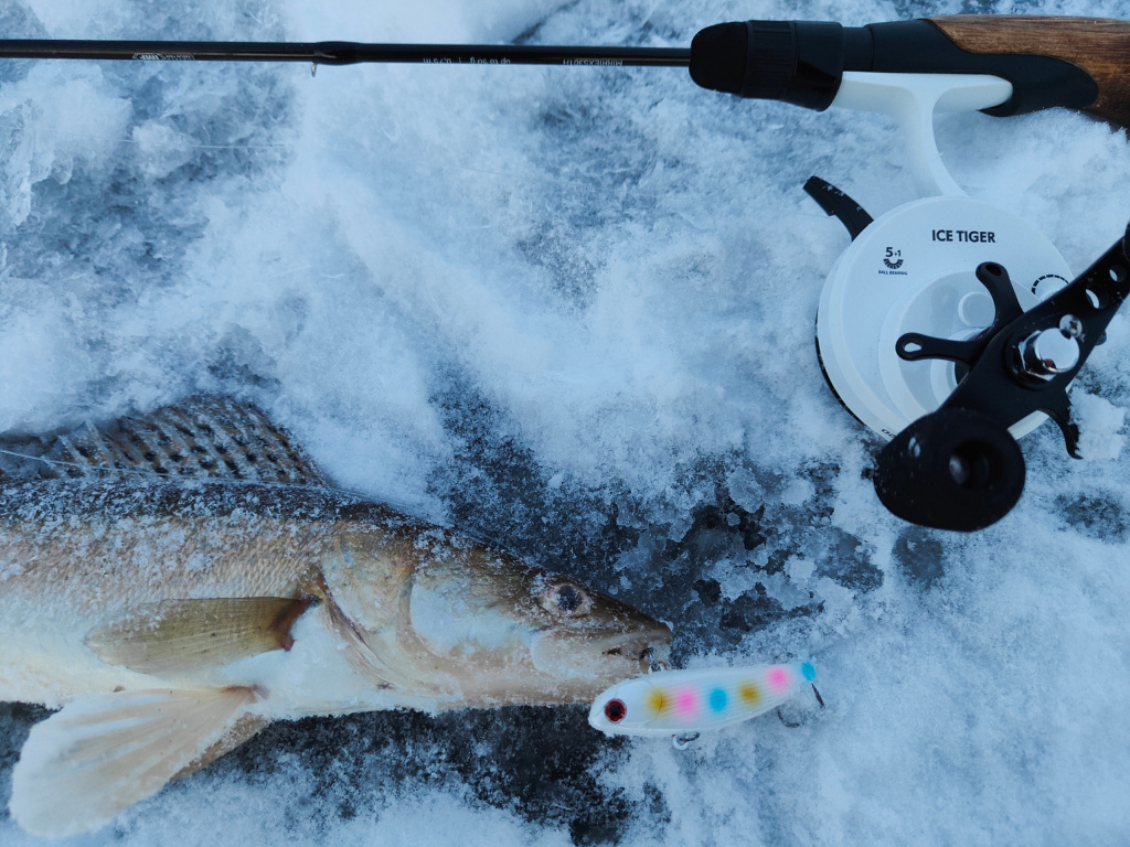 зимние катушки