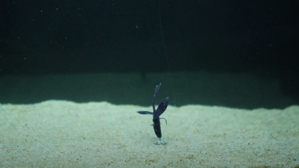 приманка на дне заняла вертикальное положение