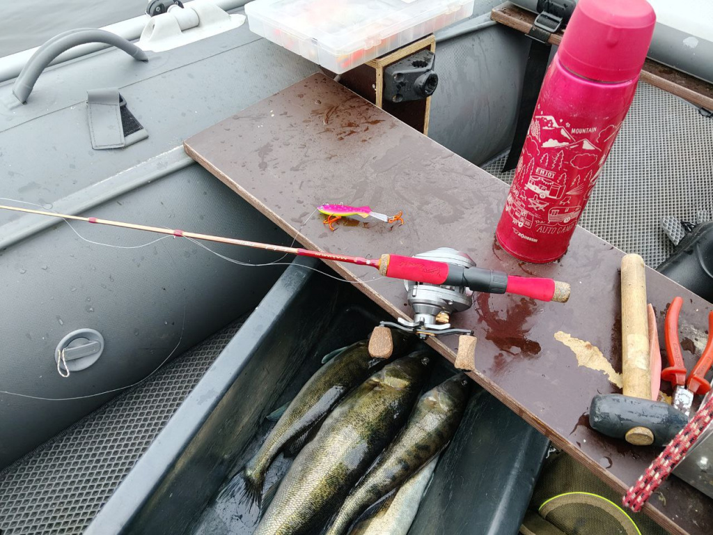 ловля в отвес